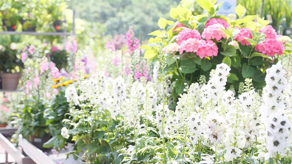 blumen-gartencenter.jpg