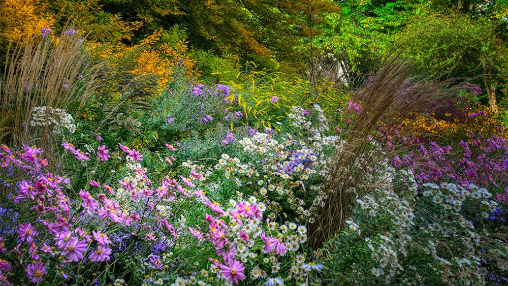 cottage-garten-herbst.jpg