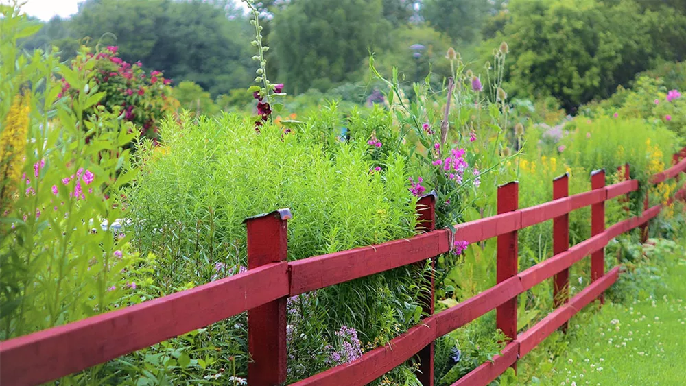 cottage-garten-sommer.jpg