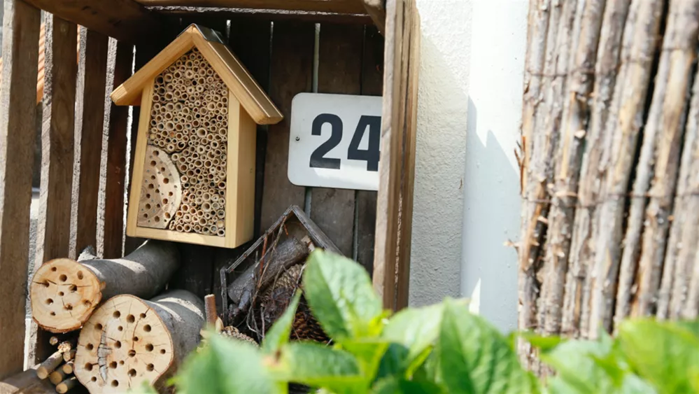 naturgarten-insektenhotel.png