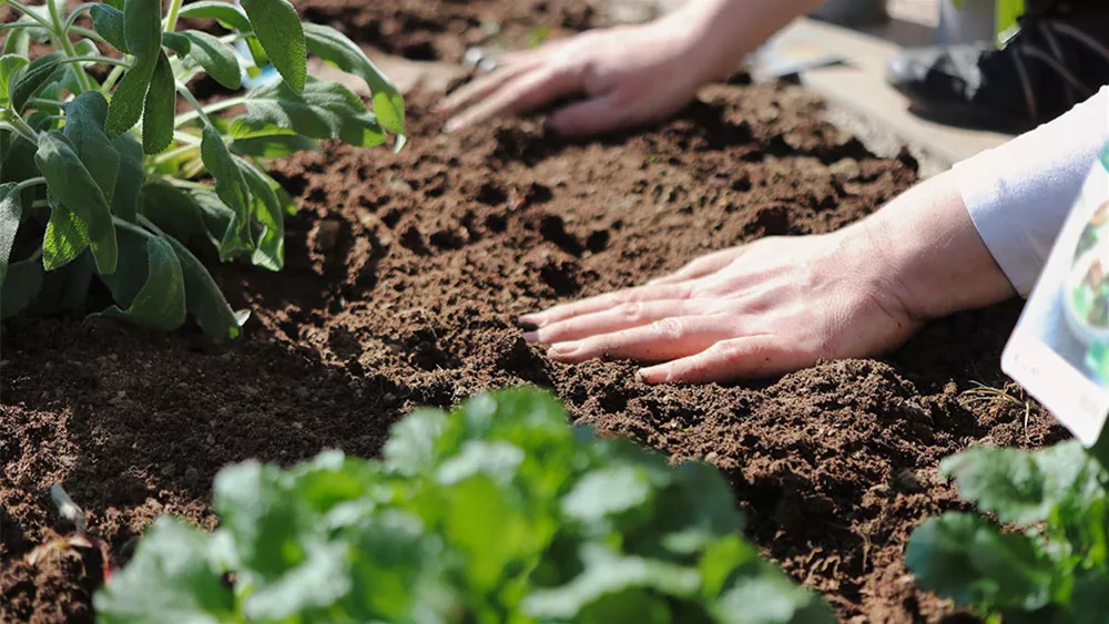 garten-wellness4.jpg